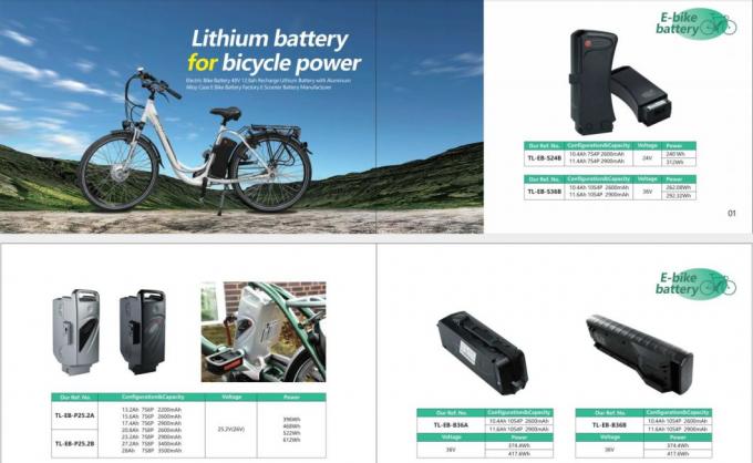 Baterai Lithium Ion 10s5p 10s6p 36V Samsung Zhenlong Phylion Ebike Baterai Pack 9